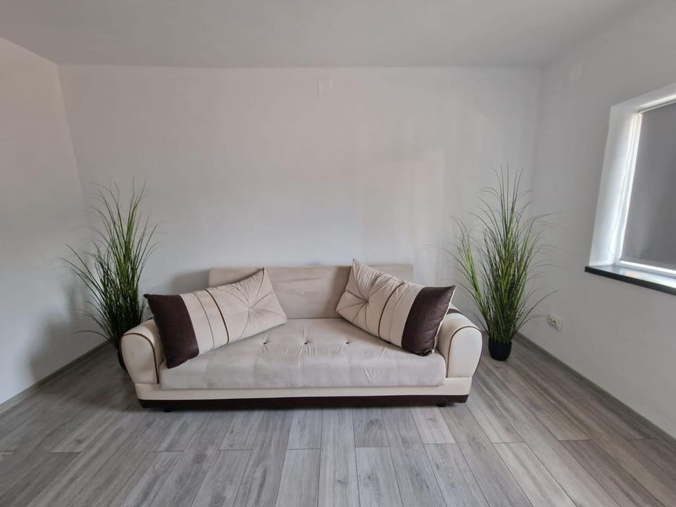 Cazare Ineu 2 House in Romania