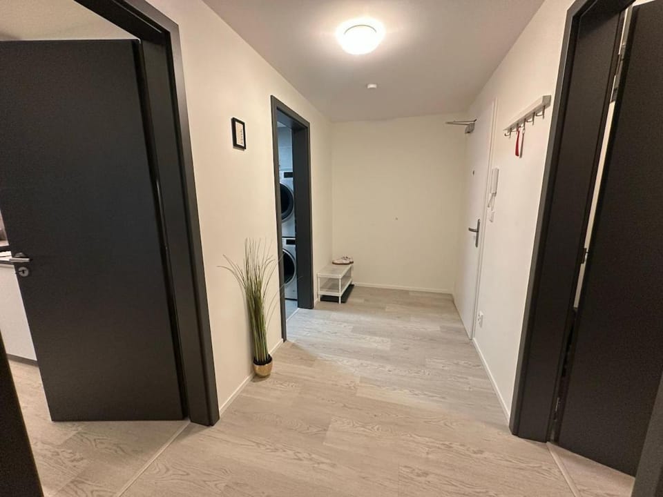 Ubytování v centru Brna u hlavního nádraží s garáží Apartment in Brno