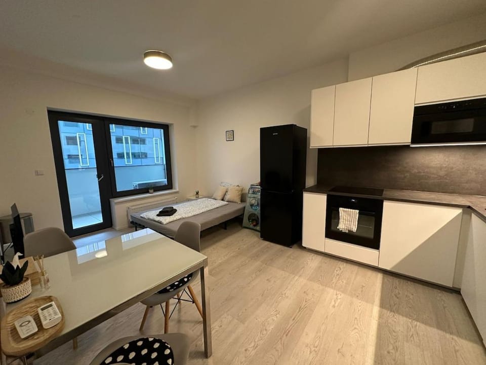 Ubytování v centru Brna u hlavního nádraží s garáží Apartment in Brno