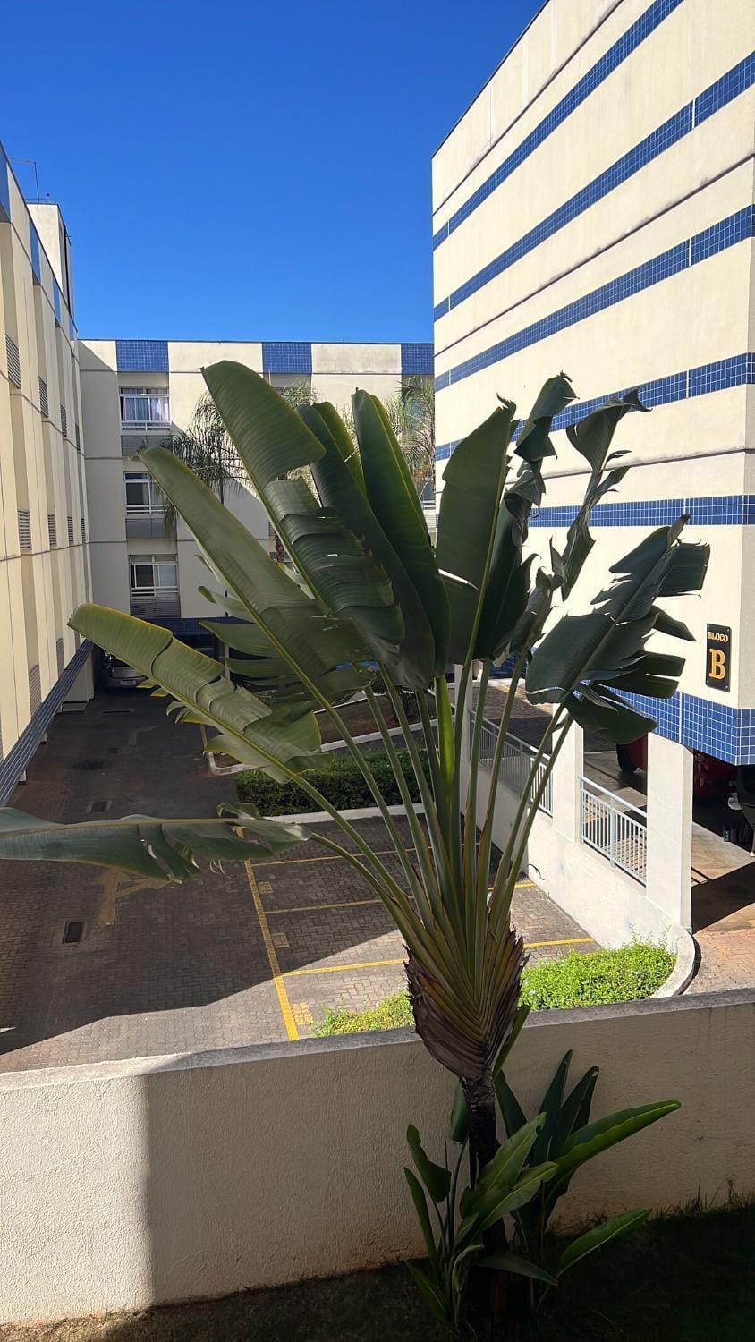 Property building, Day, Garden view