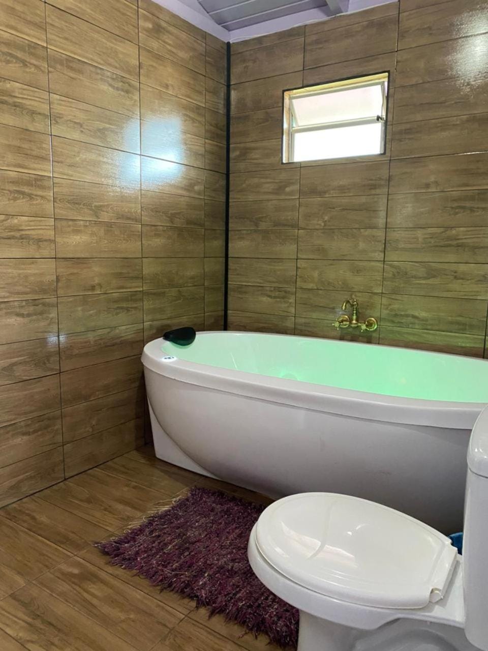 Monte Hermon hospedagem Apartment in State of Santa Catarina