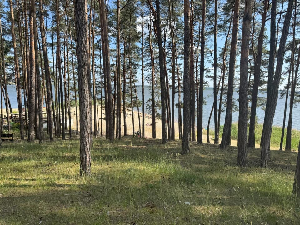 Natural landscape