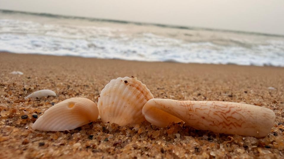 Natural landscape, Beach, Sea view
