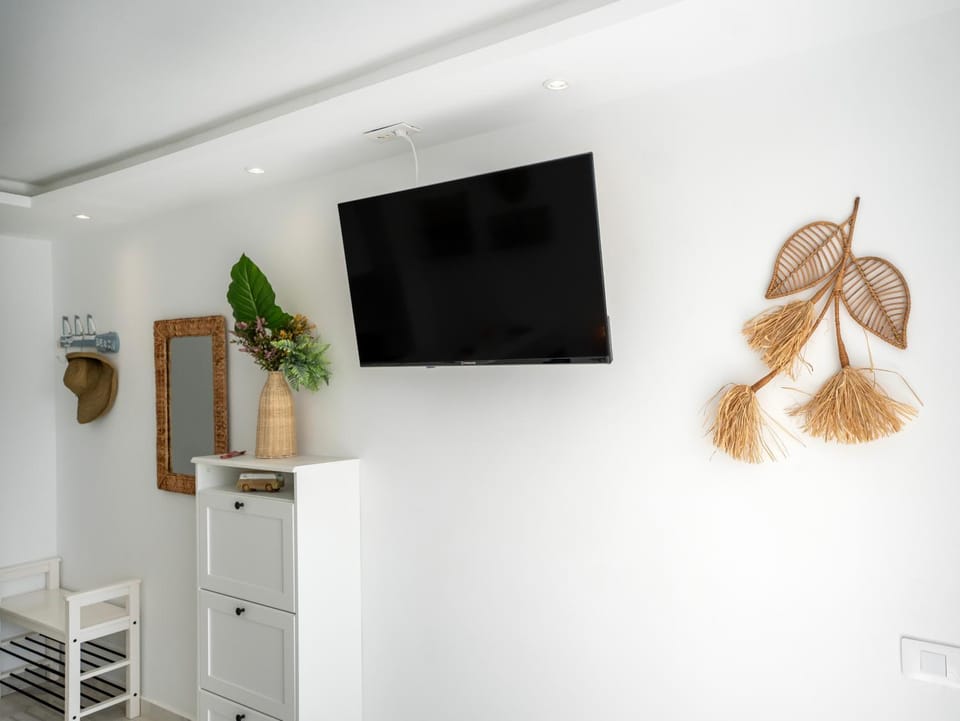TV and multimedia