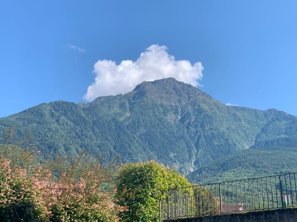 Mountain view