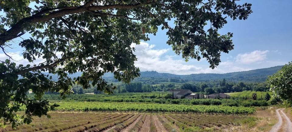 La Clemensane Apartment in Lacoste