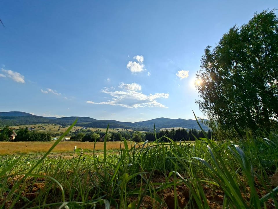Brzozowe Wzgórze Villa in Lesser Poland Voivodeship