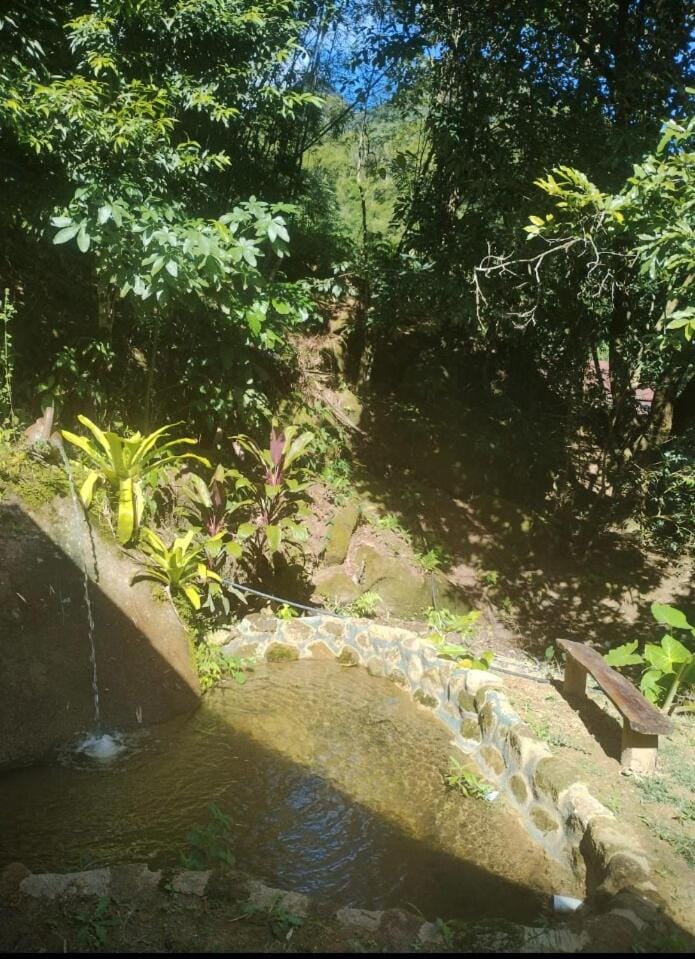 Natural landscape