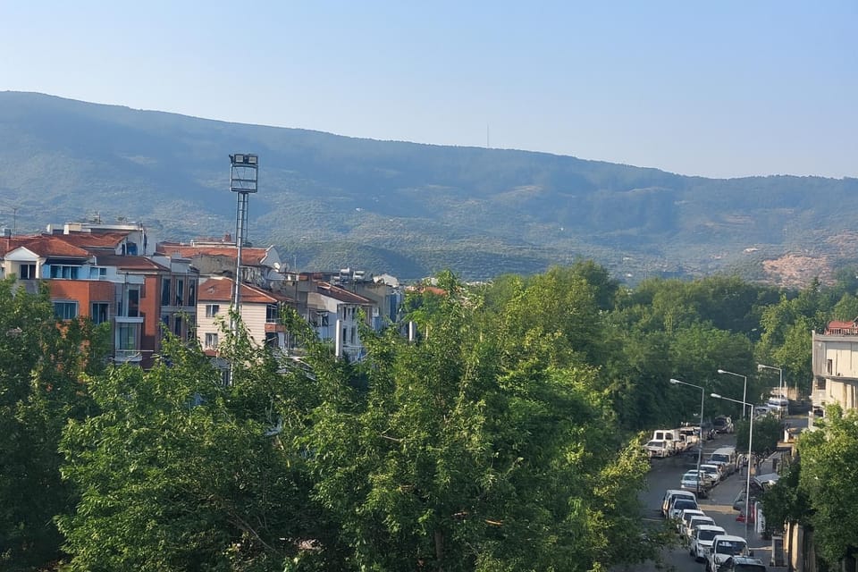 Neighbourhood, Bird's eye view