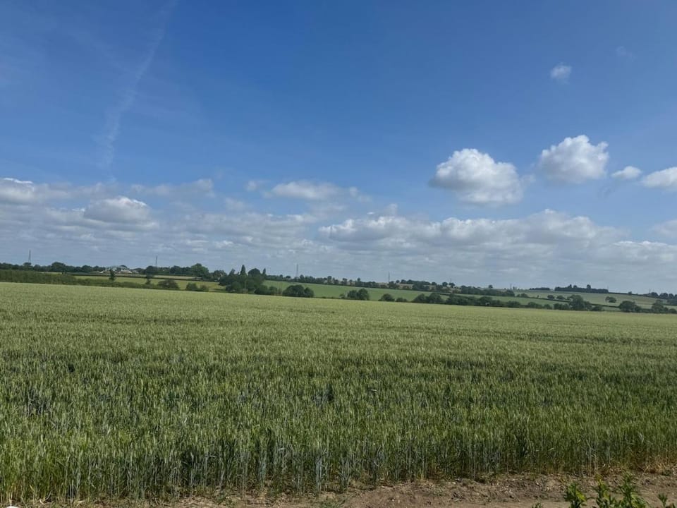 Rural Retreats 8 House in Maldon District