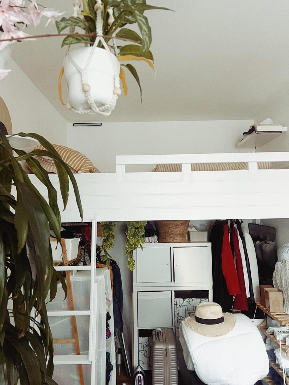 bunk bed