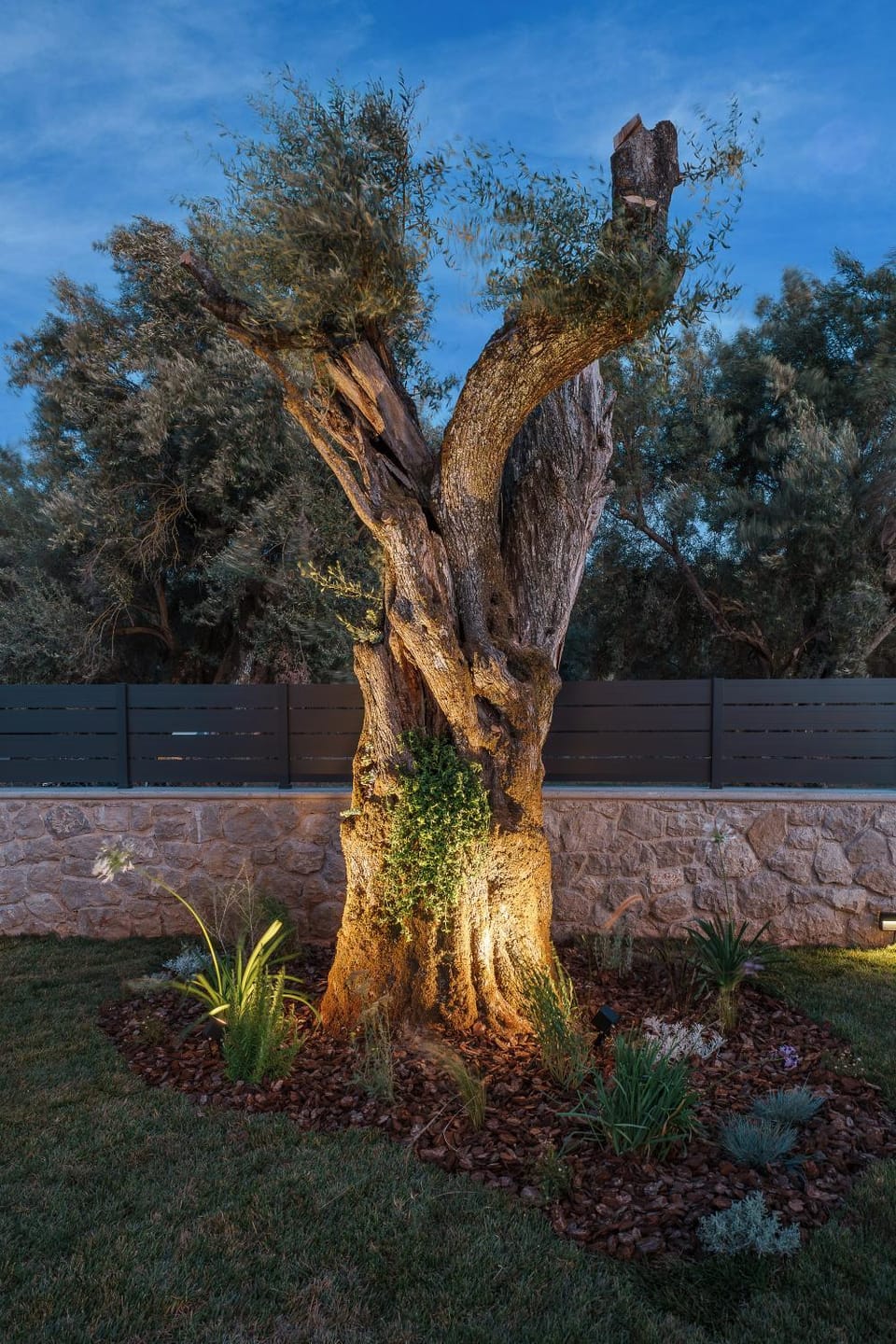 Natural landscape, Garden, Garden view