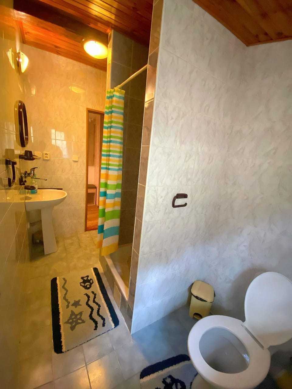 Shower, Toilet, Bathroom, towels