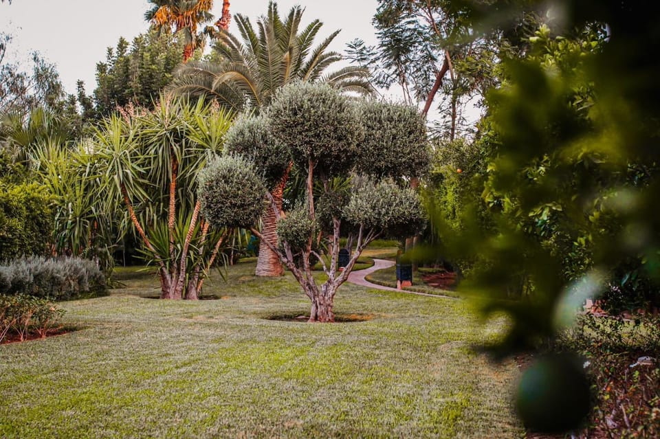 La Villa Wassim Bed and Breakfast in Marrakesh