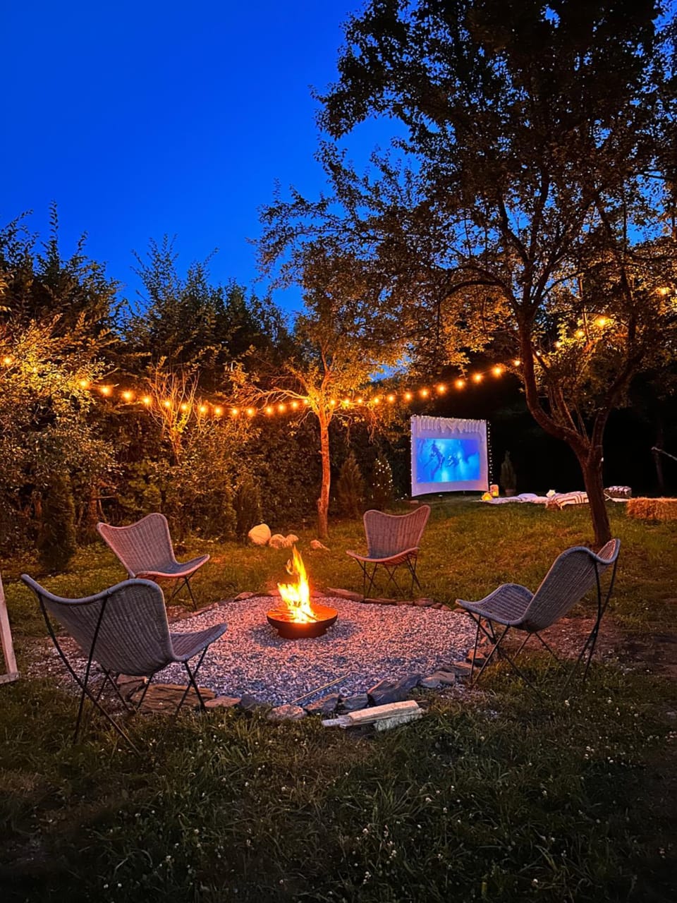 Communal lounge/ TV room, Night, Natural landscape, Garden, TV and multimedia, Evening entertainment