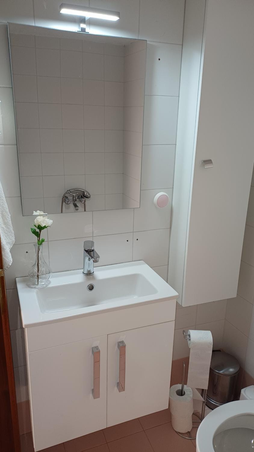 Viola Elounda Apartament Apartment in Lasithi