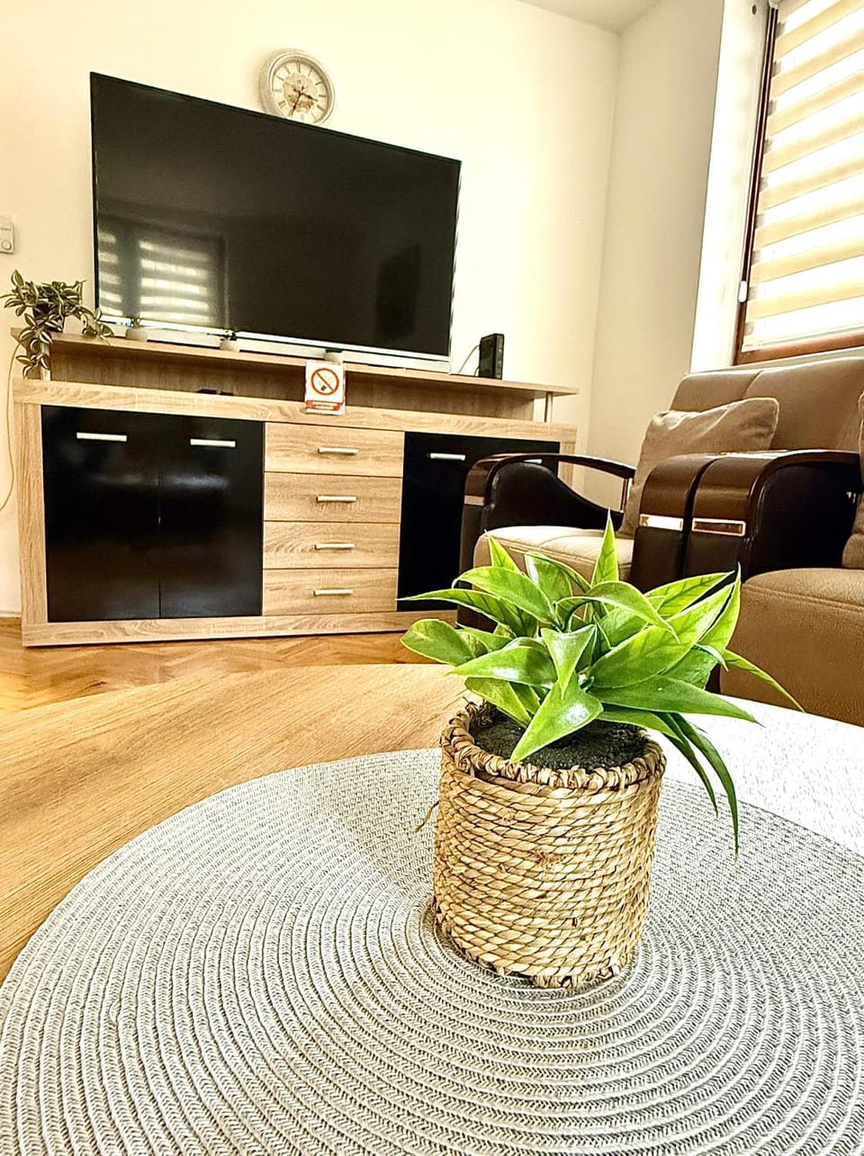 Communal lounge/ TV room, TV and multimedia, Living room, Seating area