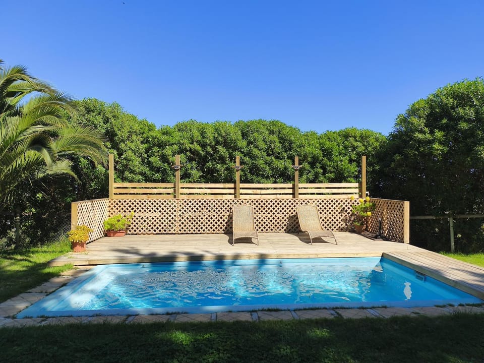 Day, Garden, Garden view, Pool view, Swimming pool, sunbed