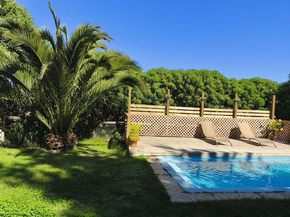 Spring, Day, Garden, Garden view, Pool view, Swimming pool, sunbed