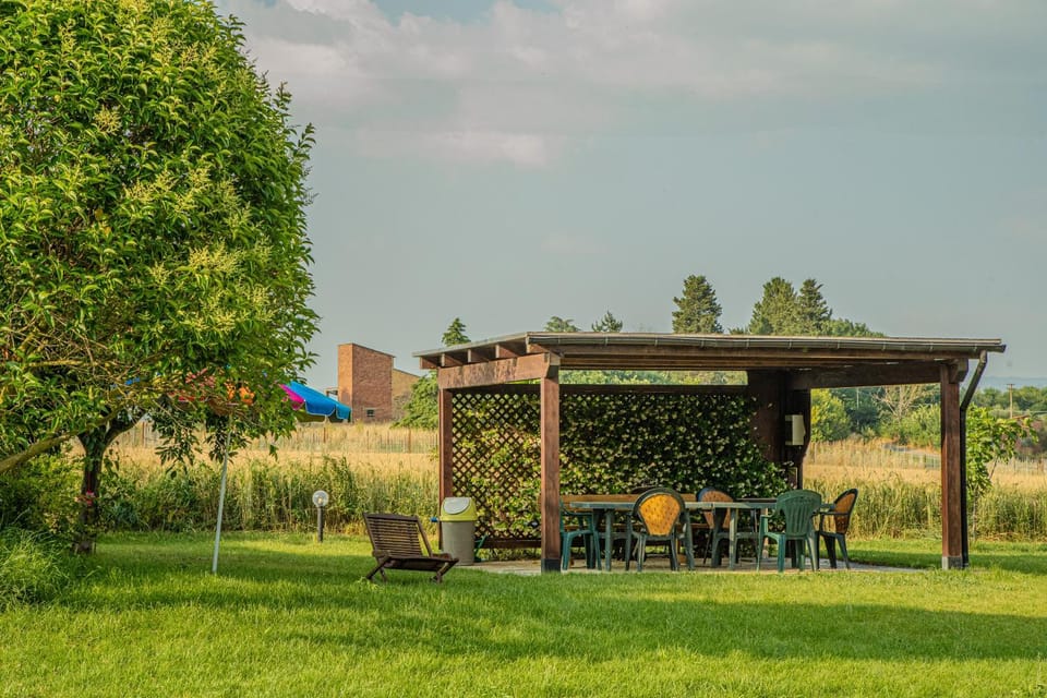 Patio, Garden