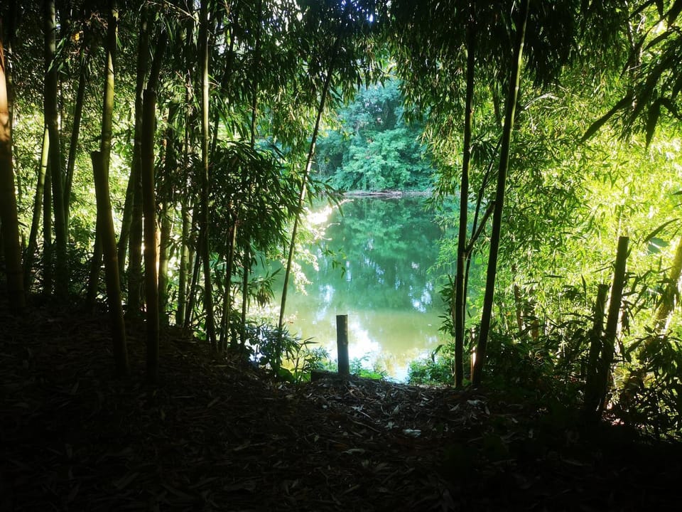 Natural landscape, River view