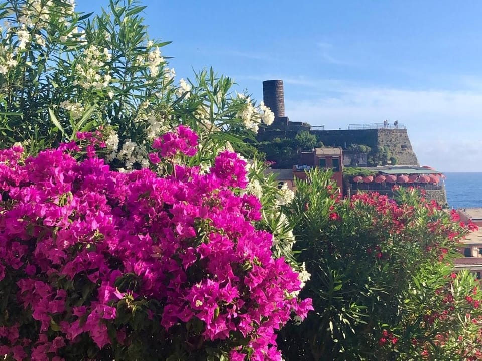 Nearby landmark, Spring, Day, Natural landscape