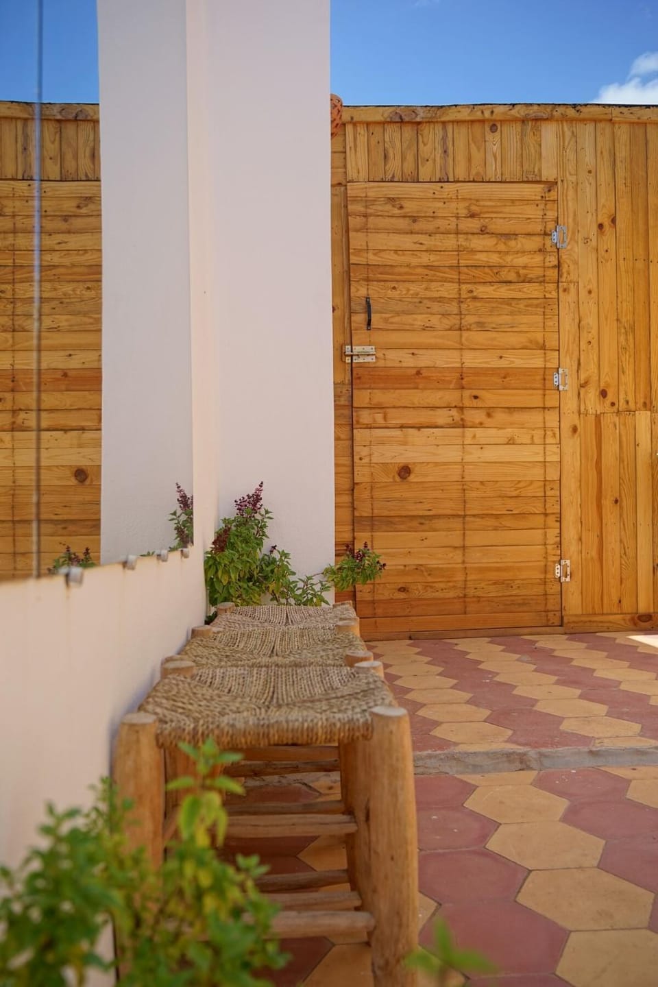 Patio, Day