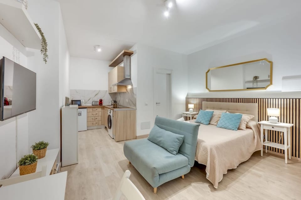 Comfortable Studio in the centre of Malaga Apartment in Malaga