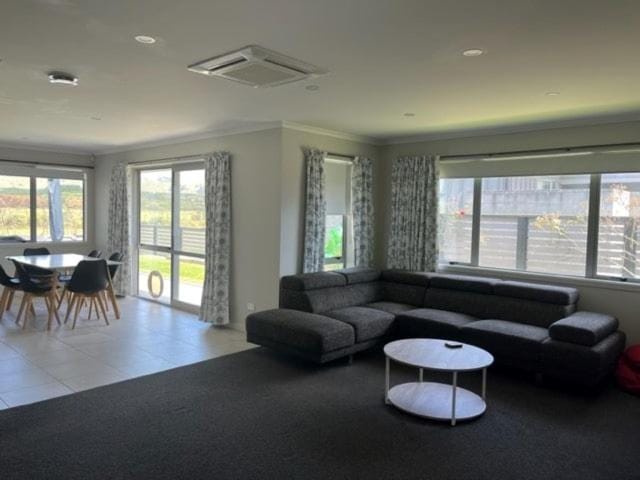 Reel Weekend Batch House in Bay Of Plenty