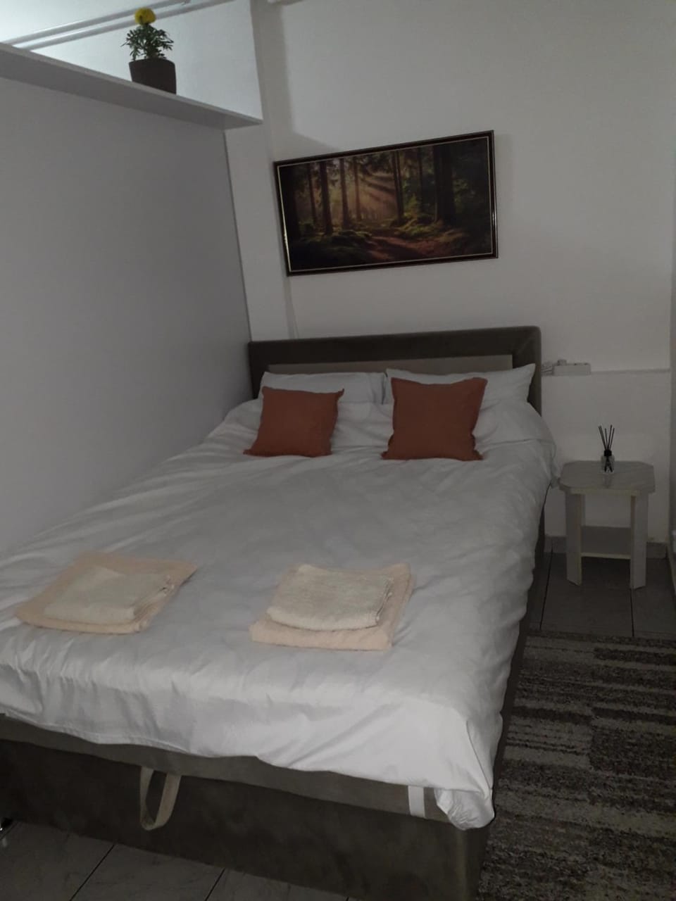 Planić Apartment in Zlatibor District, Serbia