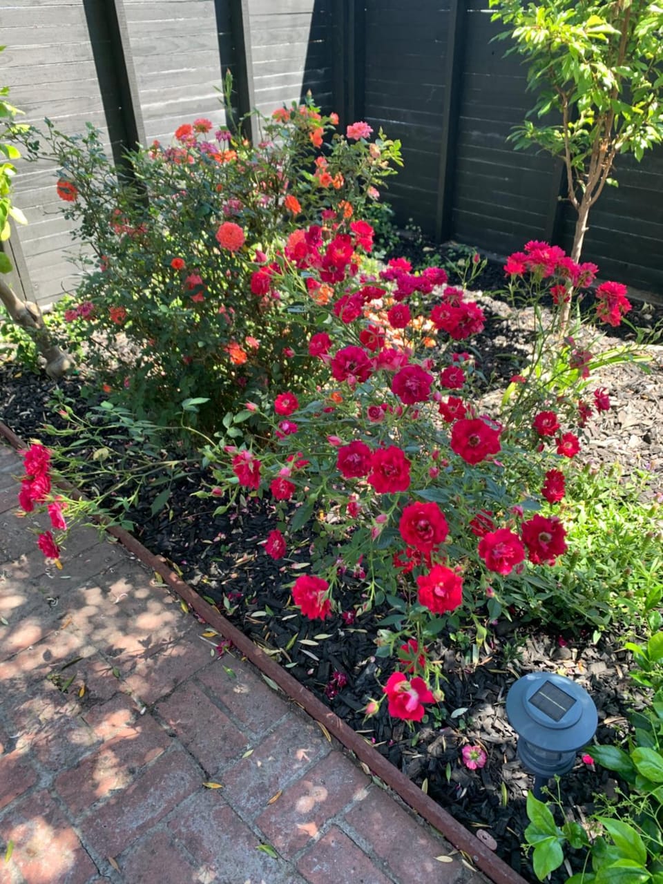 Forest and Vine - Hot tub and Pet Friendly! House in Templeton