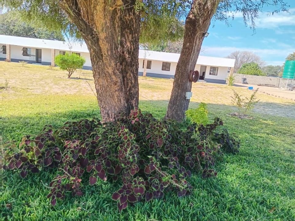 Ndiyona guesthouse campsite 100km east of Rundu Bed and Breakfast in Africa