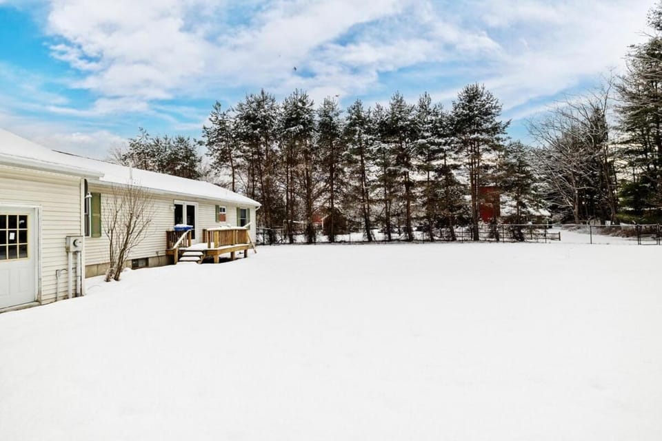 Charming Williston House House in Williston