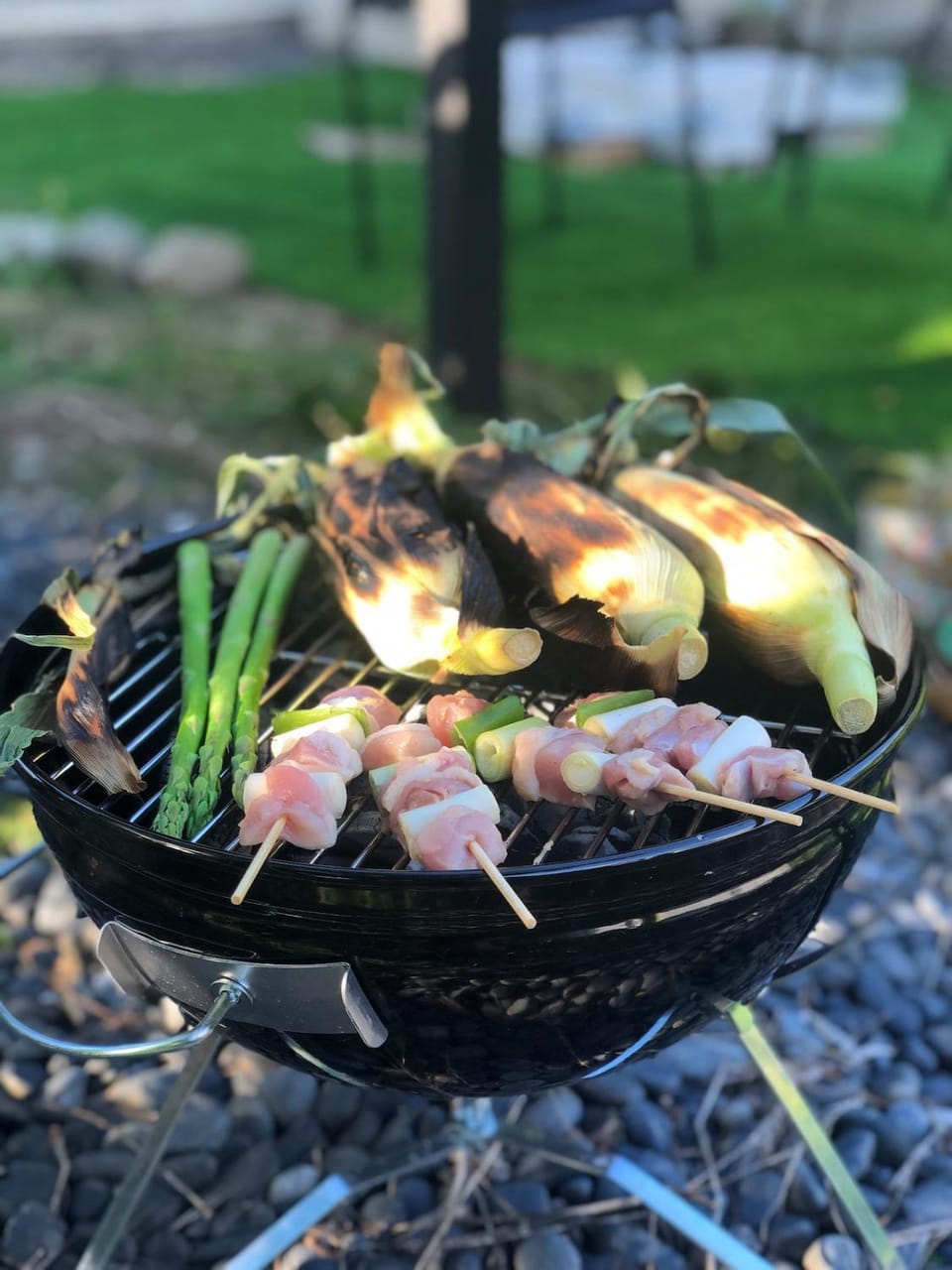 BBQ facilities, Garden