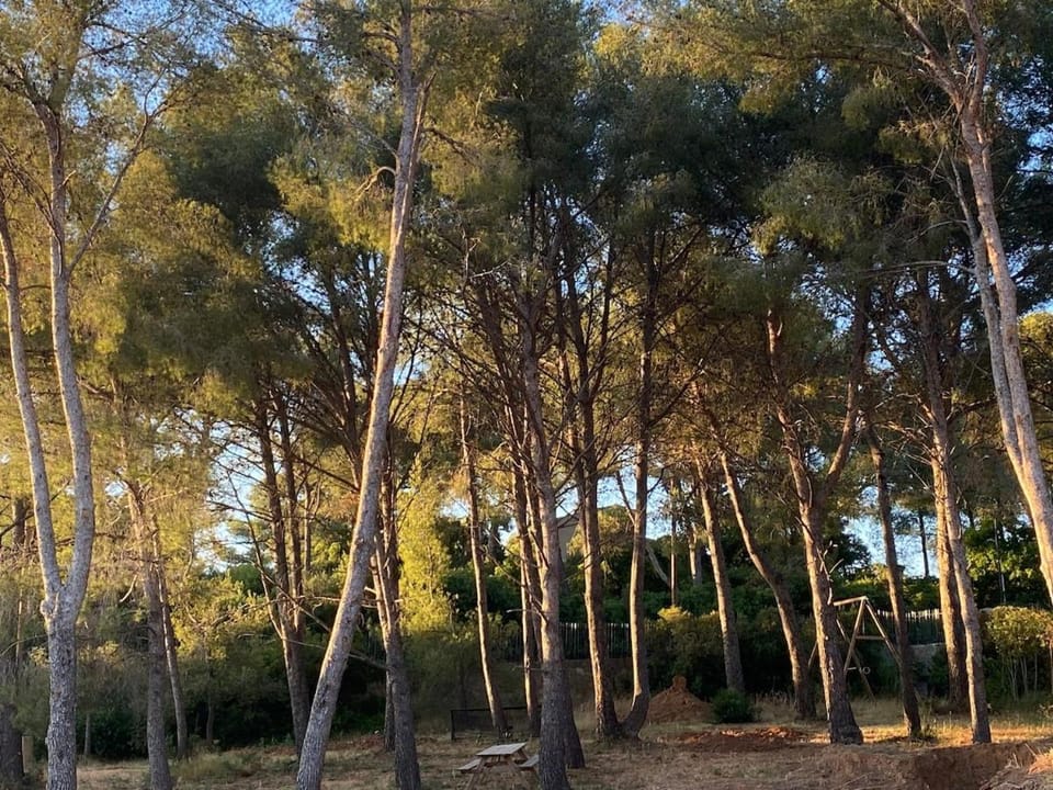 Garden view