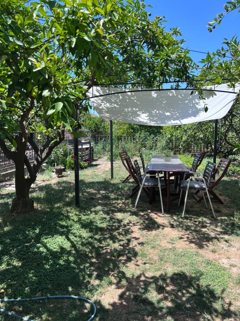 Villa Mandarin Villa in Dubrovnik-Neretva County