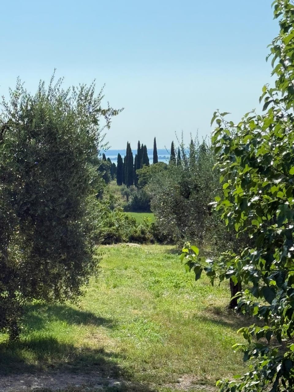 Garden, View (from property/room)