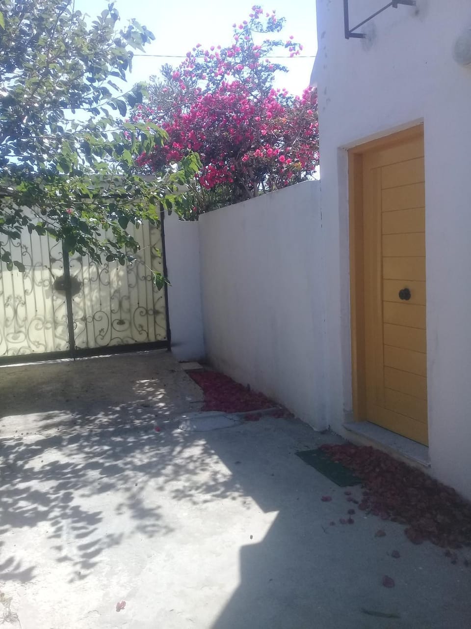 Maison de Charme à Louer Corniche Bizerte Grotte Apartment in Tunisia