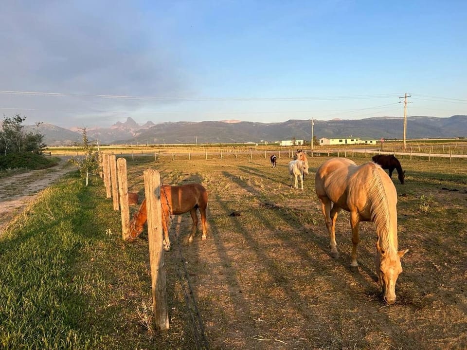 Rustic Sheep Wagon Glamping Retreat with Cowboy Ranch Views near Grand Tetons in Tetonia, Idaho House in Idaho