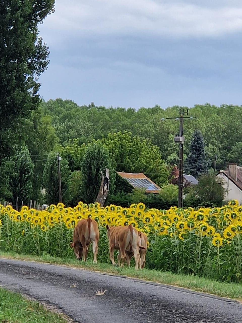 CALME et CAMPAGNE House in Centre-Val de Loire