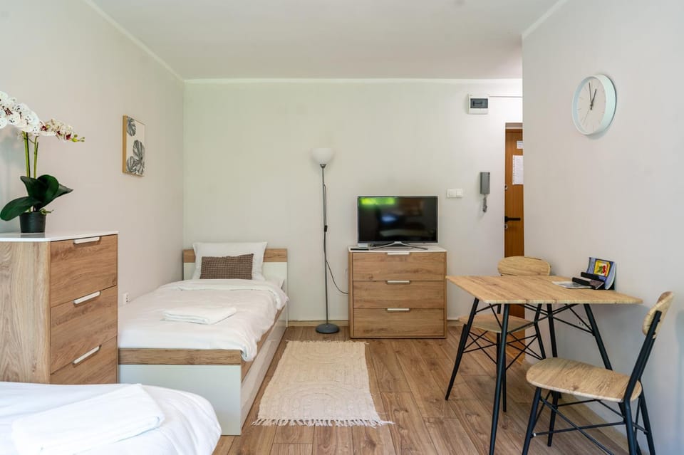 Bed, TV and multimedia, Living room, Photo of the whole room, Seating area, Dining area, Bedroom