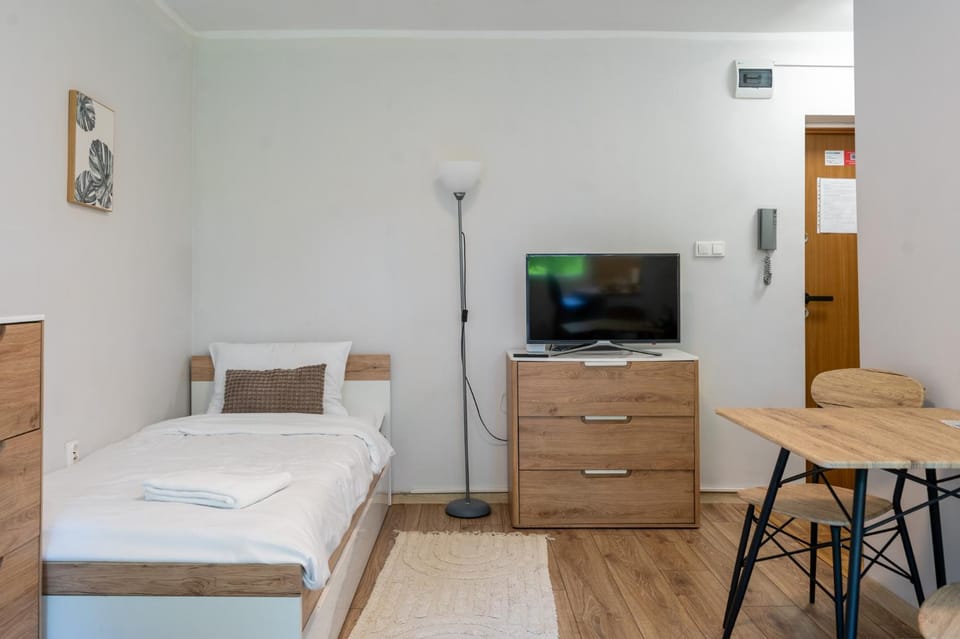 Bed, TV and multimedia, Living room, Photo of the whole room, Seating area, Dining area, Evening entertainment, Bedroom
