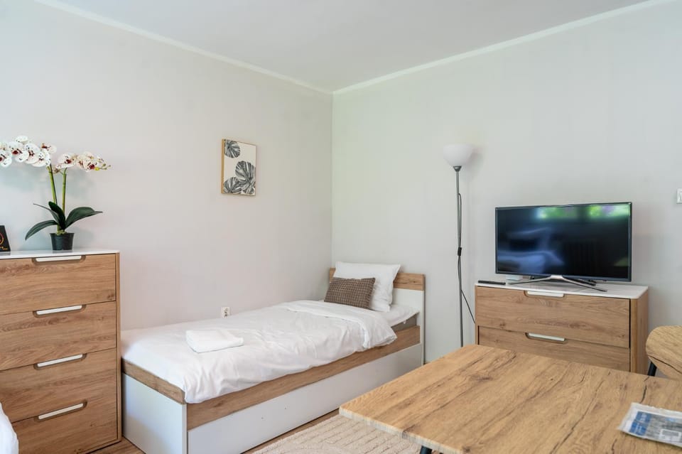 Communal lounge/ TV room, Bed, TV and multimedia, Photo of the whole room, Evening entertainment, Bedroom