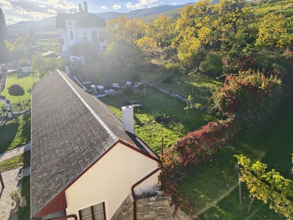 Natural landscape, Garden, Garden view