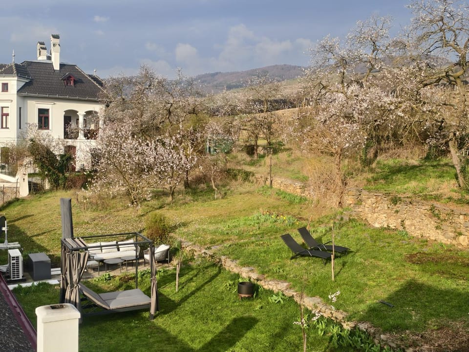 Spring, Day, Garden, Garden view