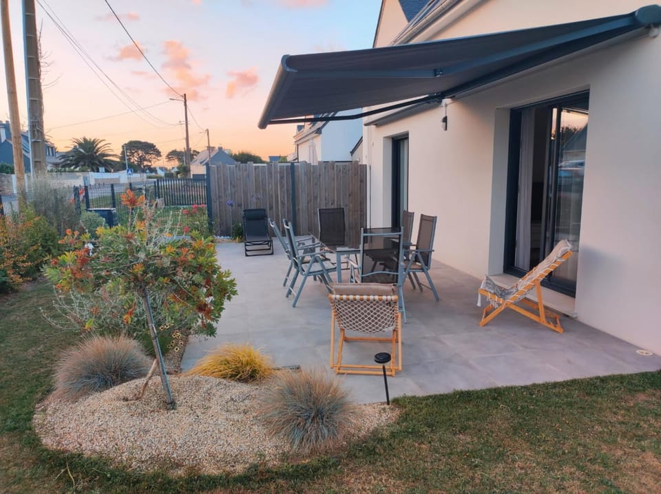 Garden, Garden view, sunbed