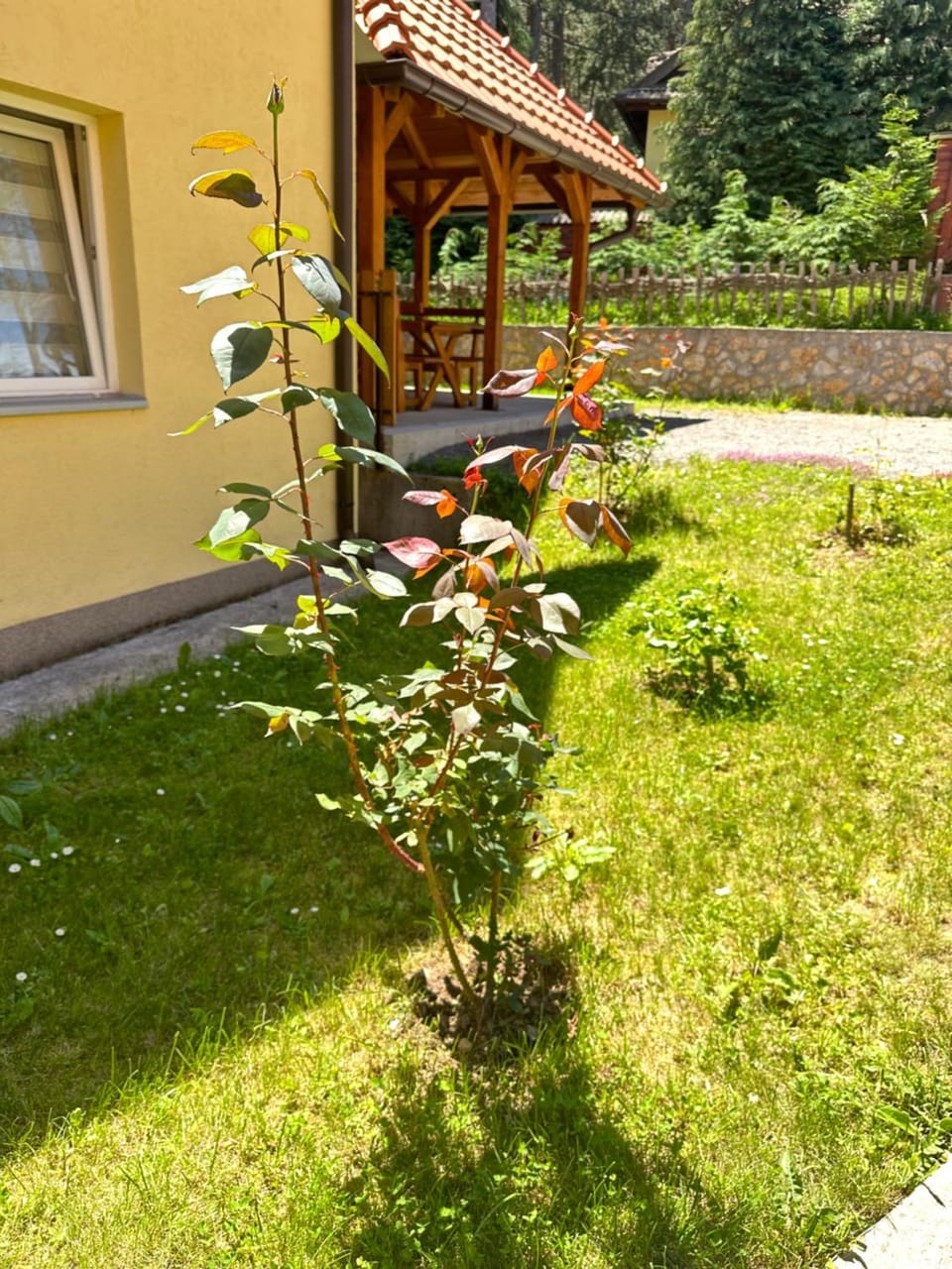 Apartment MK Apartment in Zlatibor District, Serbia