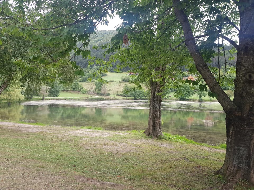 Lake view