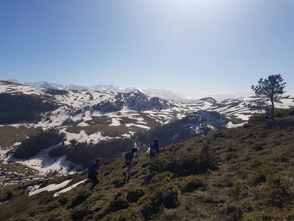 Hiking