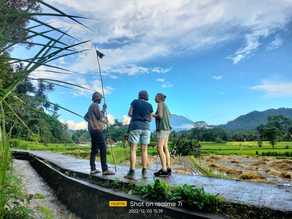 Guests, Mountain view
